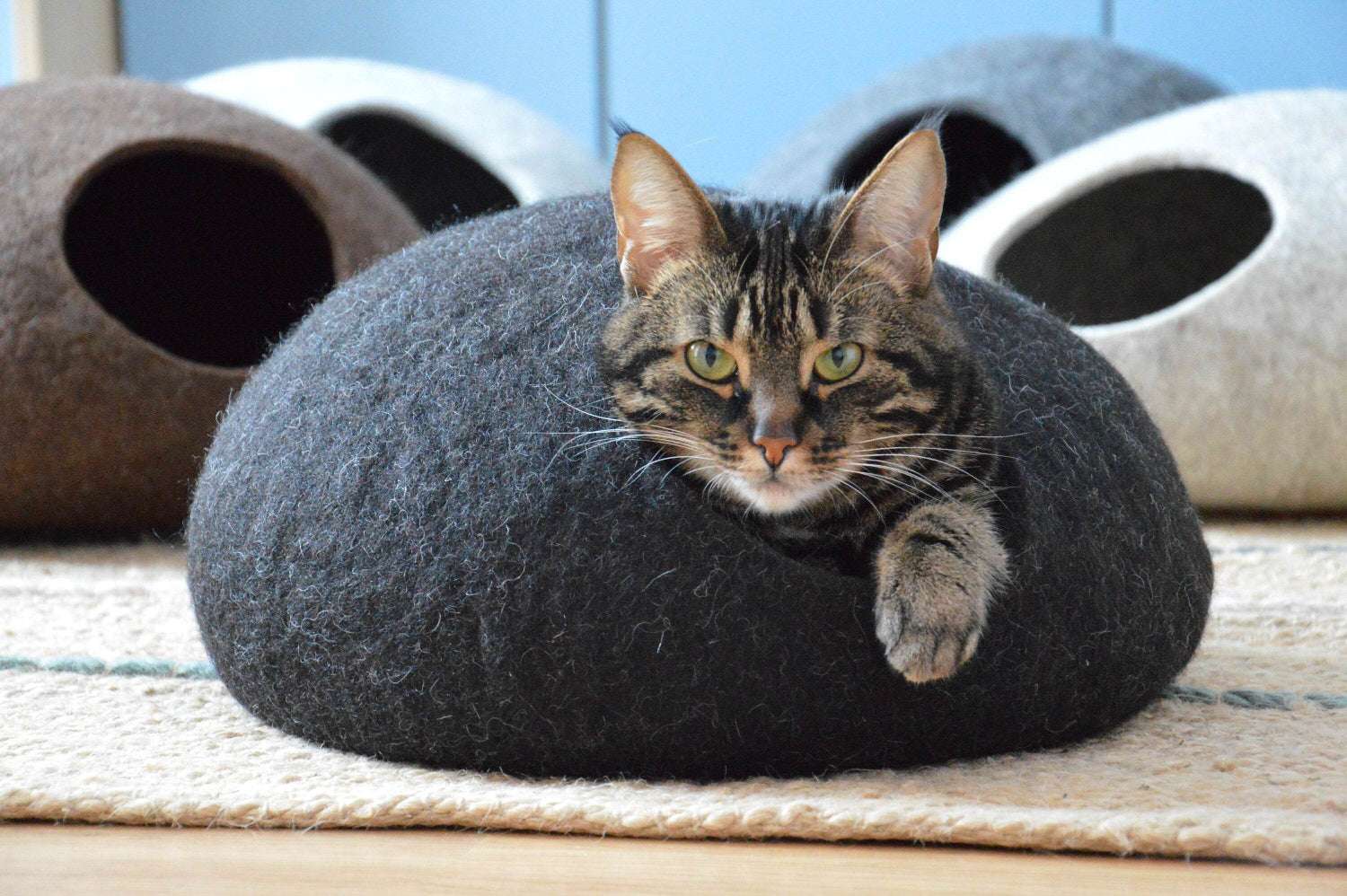 Natural Wool Pet Bed - Modern Cat Cave - Home Soul