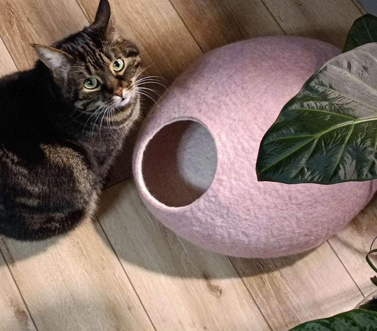 Baby Pink Cat Bed - Eco-Friendly Pet Cave - Home Soul