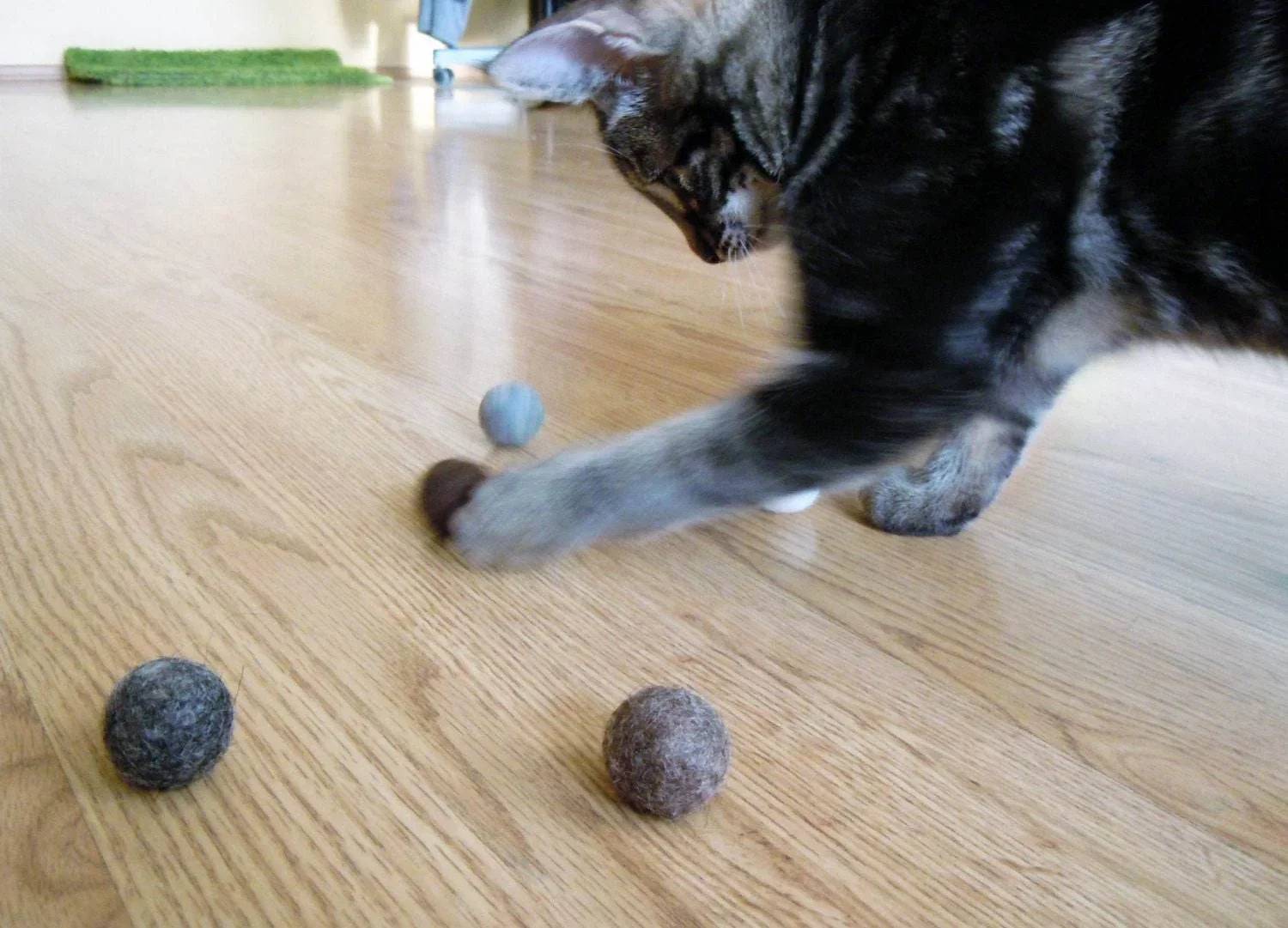 Natural Cat Toys Set - 5 Eco-Friendly Balls - Home Soul