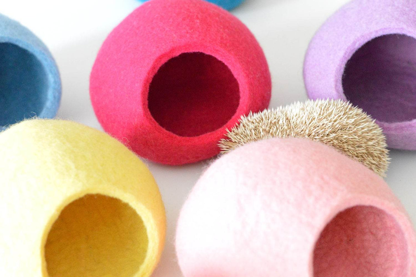 Colorful Hedgehog Bed - Custom Small Pet House - Home Soul