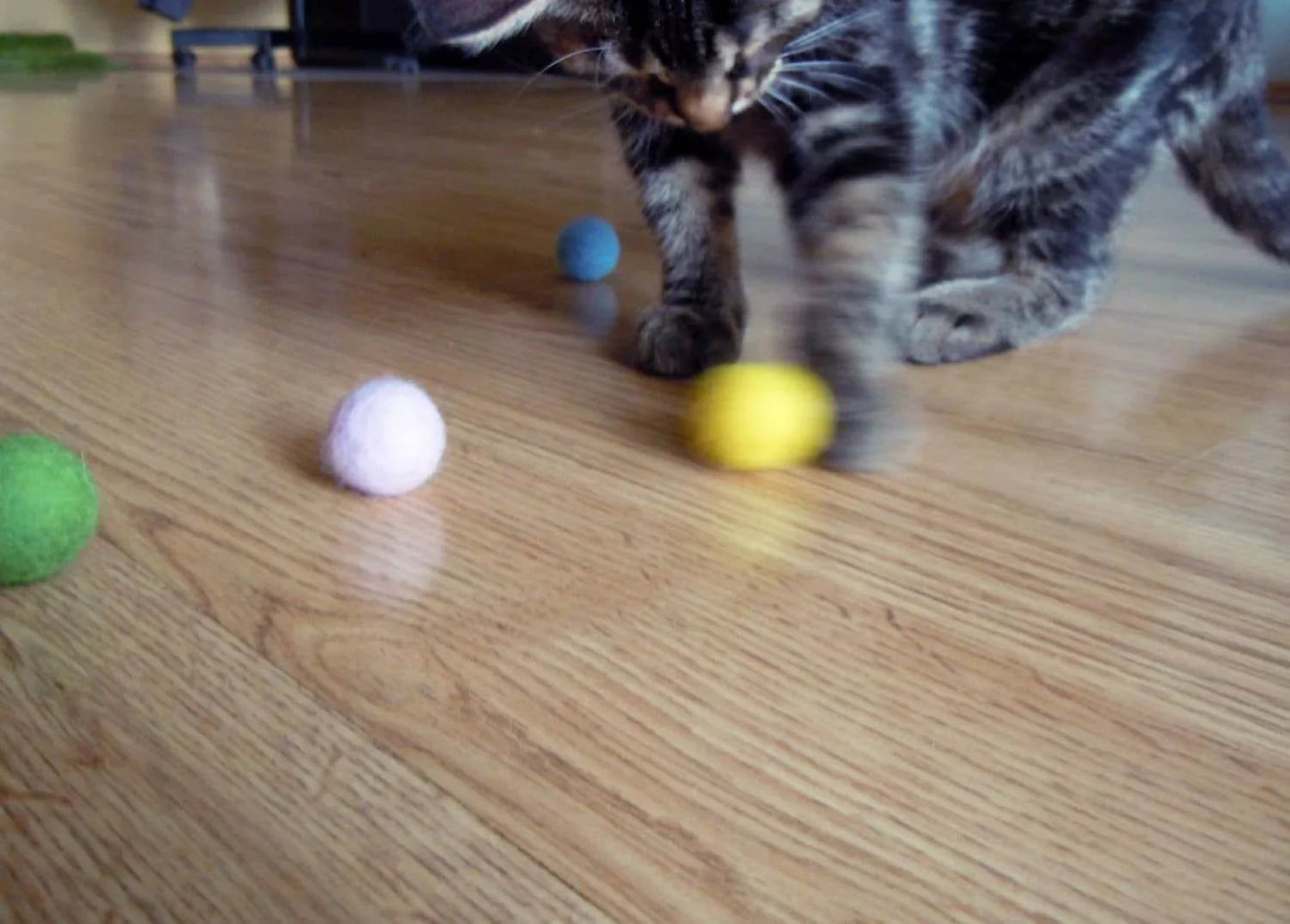 Colorful Cat Toys Set - 5 Vibrant Balls - Home Soul