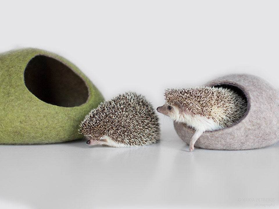 Two Color Hedgehog Bed - Dual-Tone Pet House - Home Soul