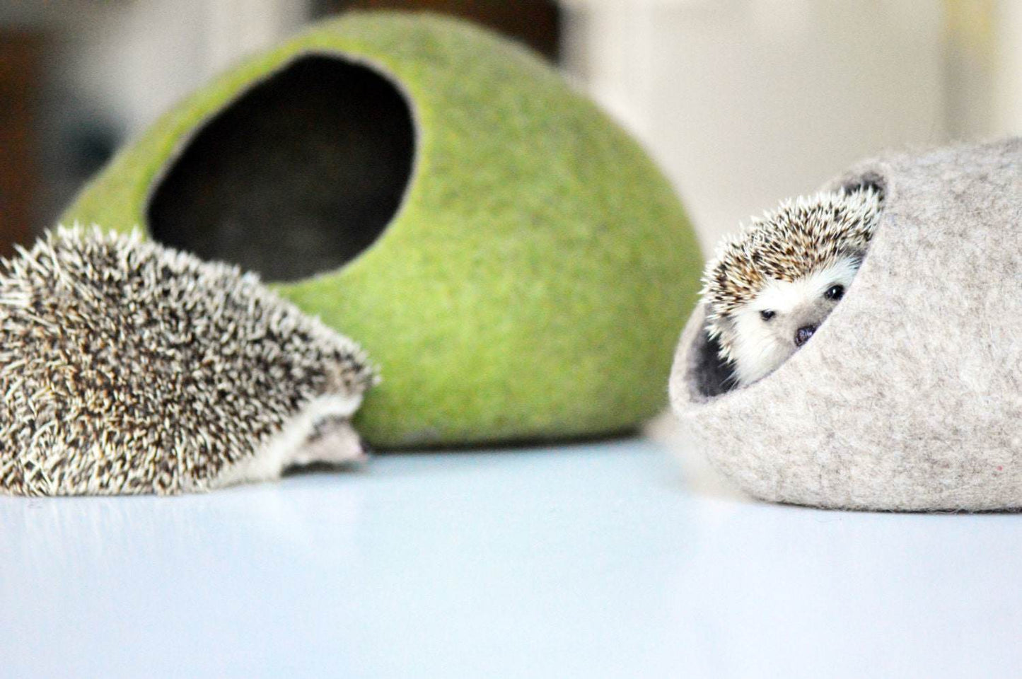 Two Color Hedgehog Bed - Dual-Tone Pet House - Home Soul