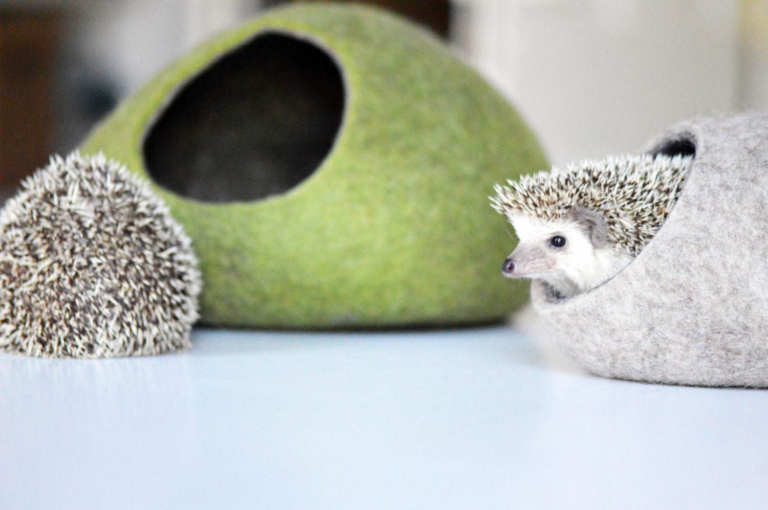 Two Color Hedgehog Bed - Dual-Tone Pet House - Home Soul